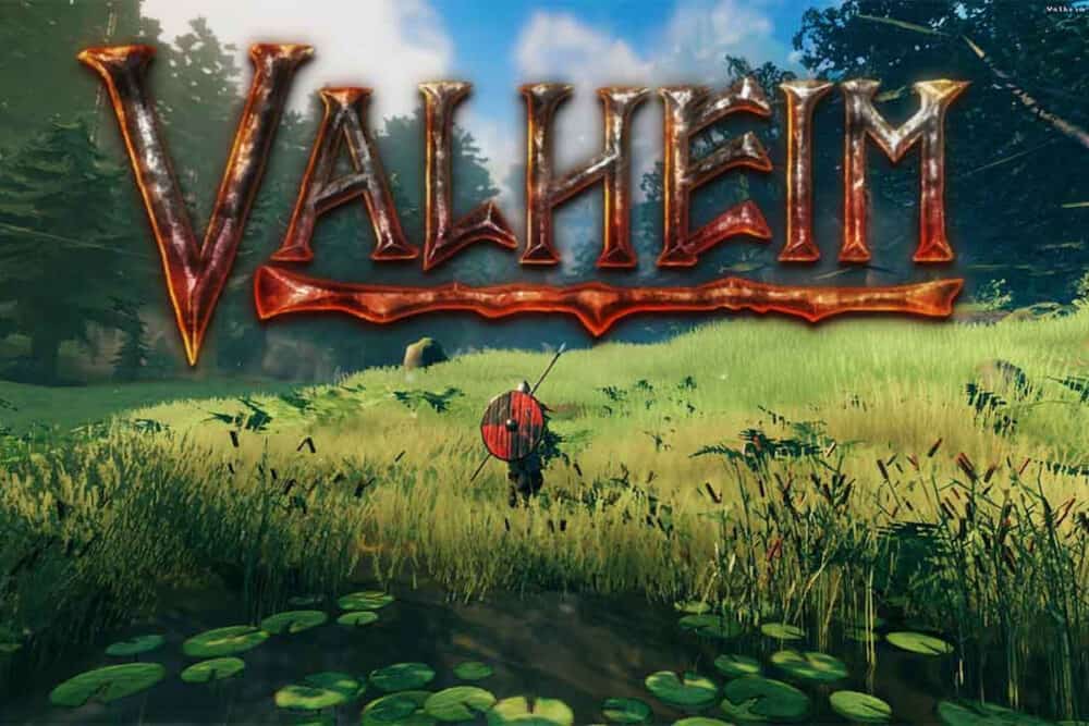 Valheim Server Hosting