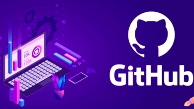 Download Files From GitHub