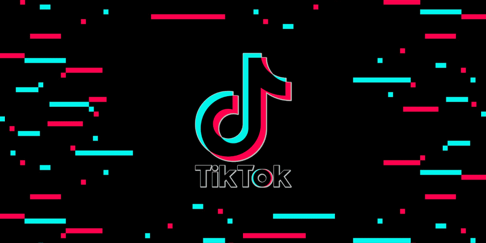 TikTok Video Downloader