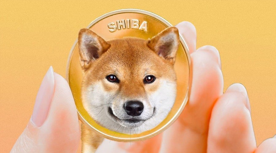 Where to Purchase Shiba Inu Coin