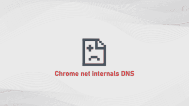 chrome //net-internals/#dns